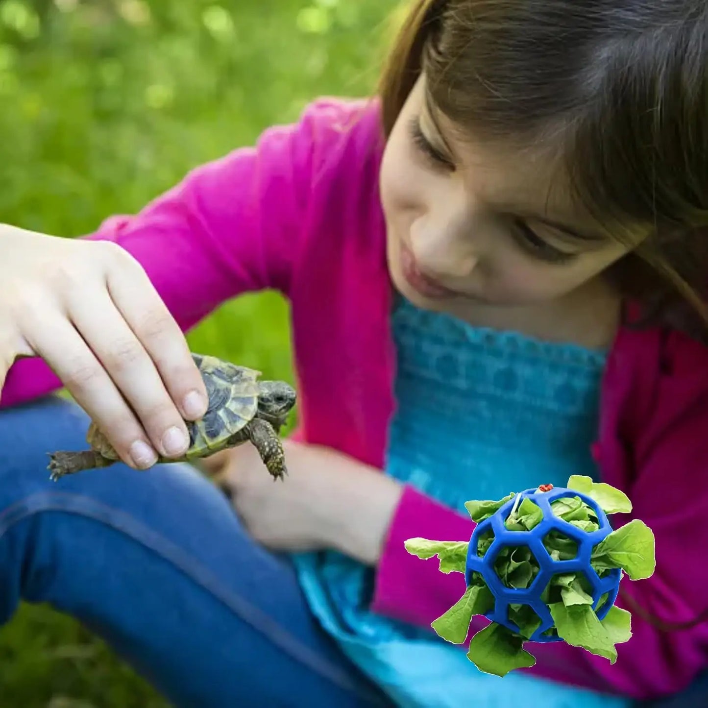 2 件懸掛式陸龜零食球蔬菜分配器乾草餵食器餵草球適用於陸龜兔子豚鼠配件