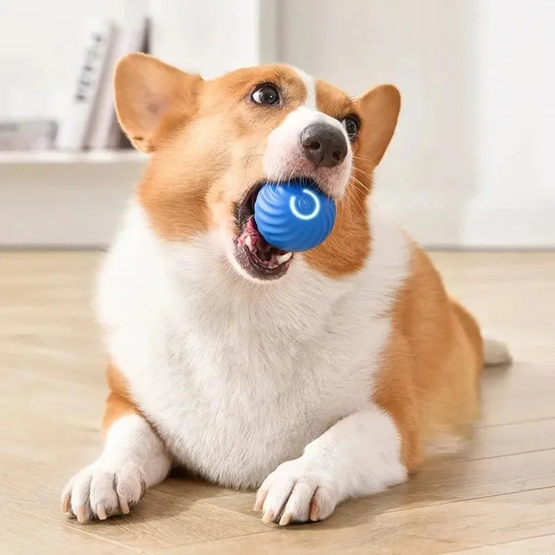 Smart Dog Toy Ball – USB Auto Moving Pet Ball for Dogs & Cats