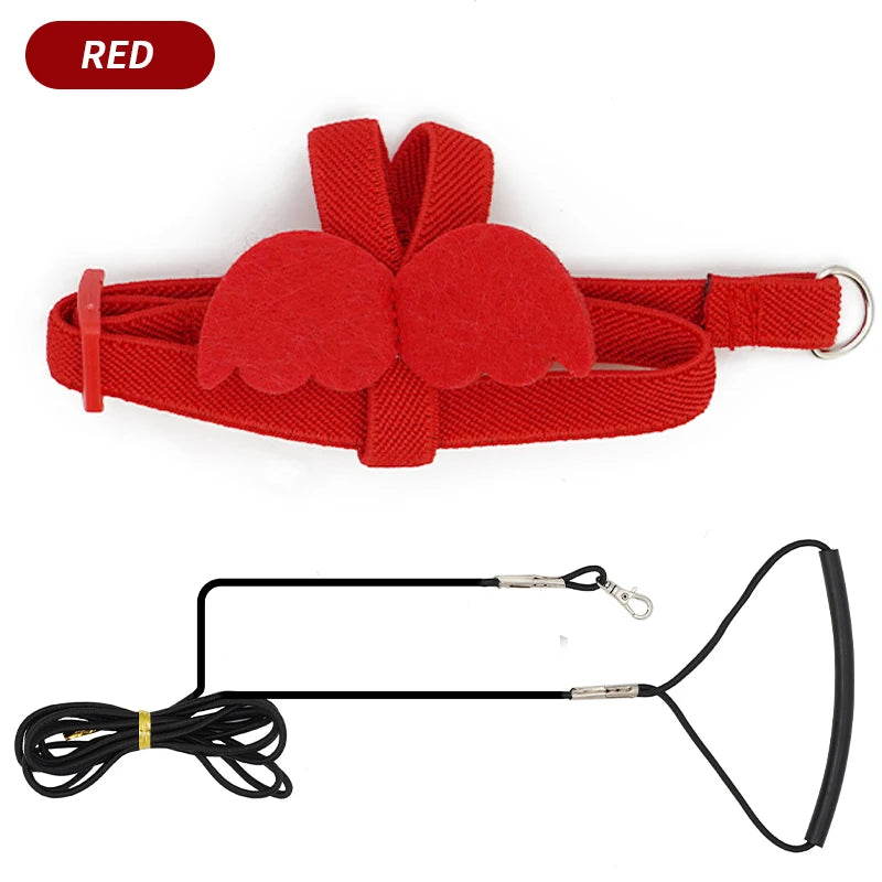 長繩鳥用背帶牽引繩防咬訓練繩裝飾性輕長尾小鸚鵡背心繩適用於鳥類