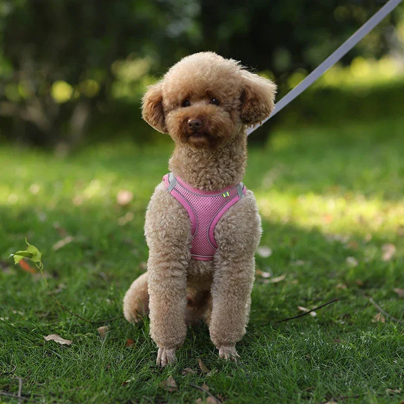 小型犬用 犬用ハーネス リーシュセット 調節可能 子犬 猫用ハーネス ベスト フレンチブルドッグ チワワ パグ アウトドア ウォーキングリード リーシュ