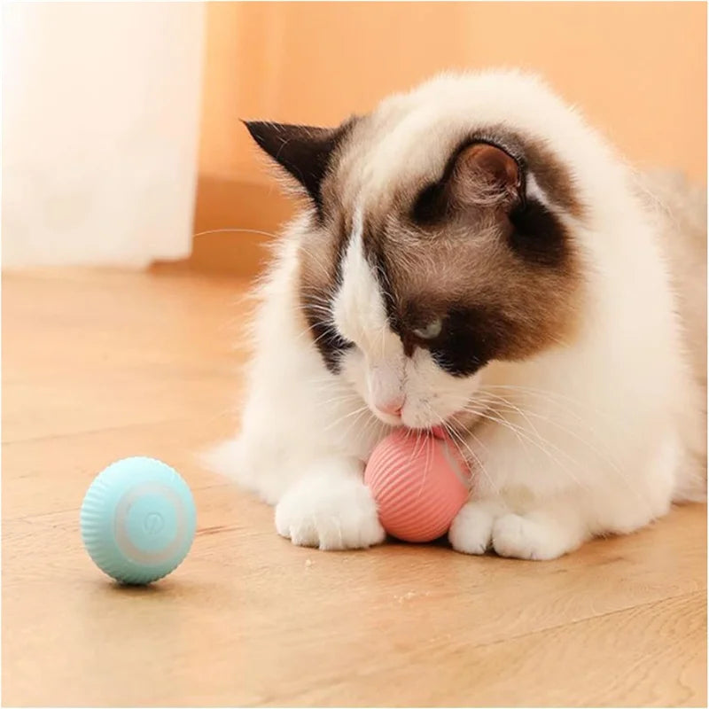 Smart Dog Toy Ball – USB Auto Moving Pet Ball for Dogs & Cats