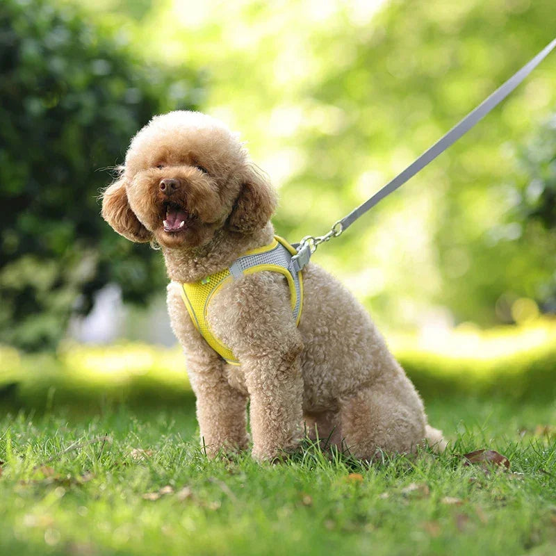小型犬用 犬用ハーネス リーシュセット 調節可能 子犬 猫用ハーネス ベスト フレンチブルドッグ チワワ パグ アウトドア ウォーキングリード リーシュ