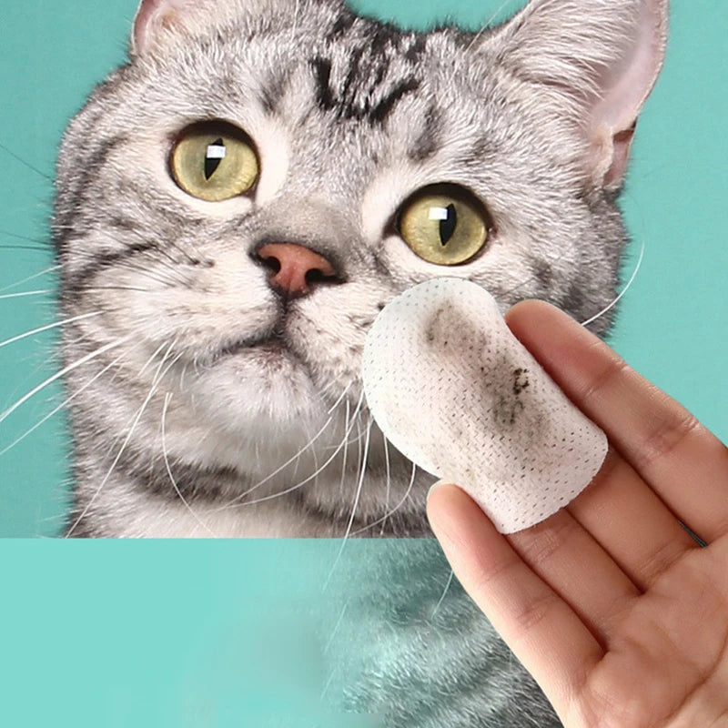 pet eye wipes, dog eye wipes, cat eye wipes, tear-free pet wipes, wet wipes for pets, pet cleaning wipes, canine and feline eye wipes, pet tear stain remover, dog grooming wipes, cat grooming wipes