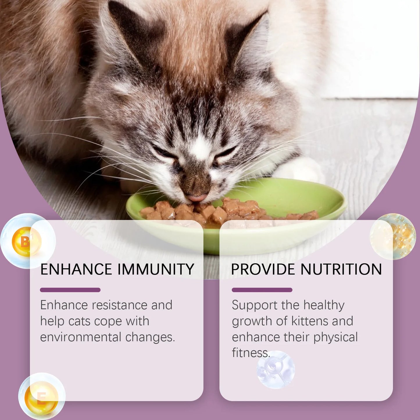 L-Lysine Cat Health Tablets- Immune Support for Feline Herpes & Respiratory Care, Calcium Absorption Aid