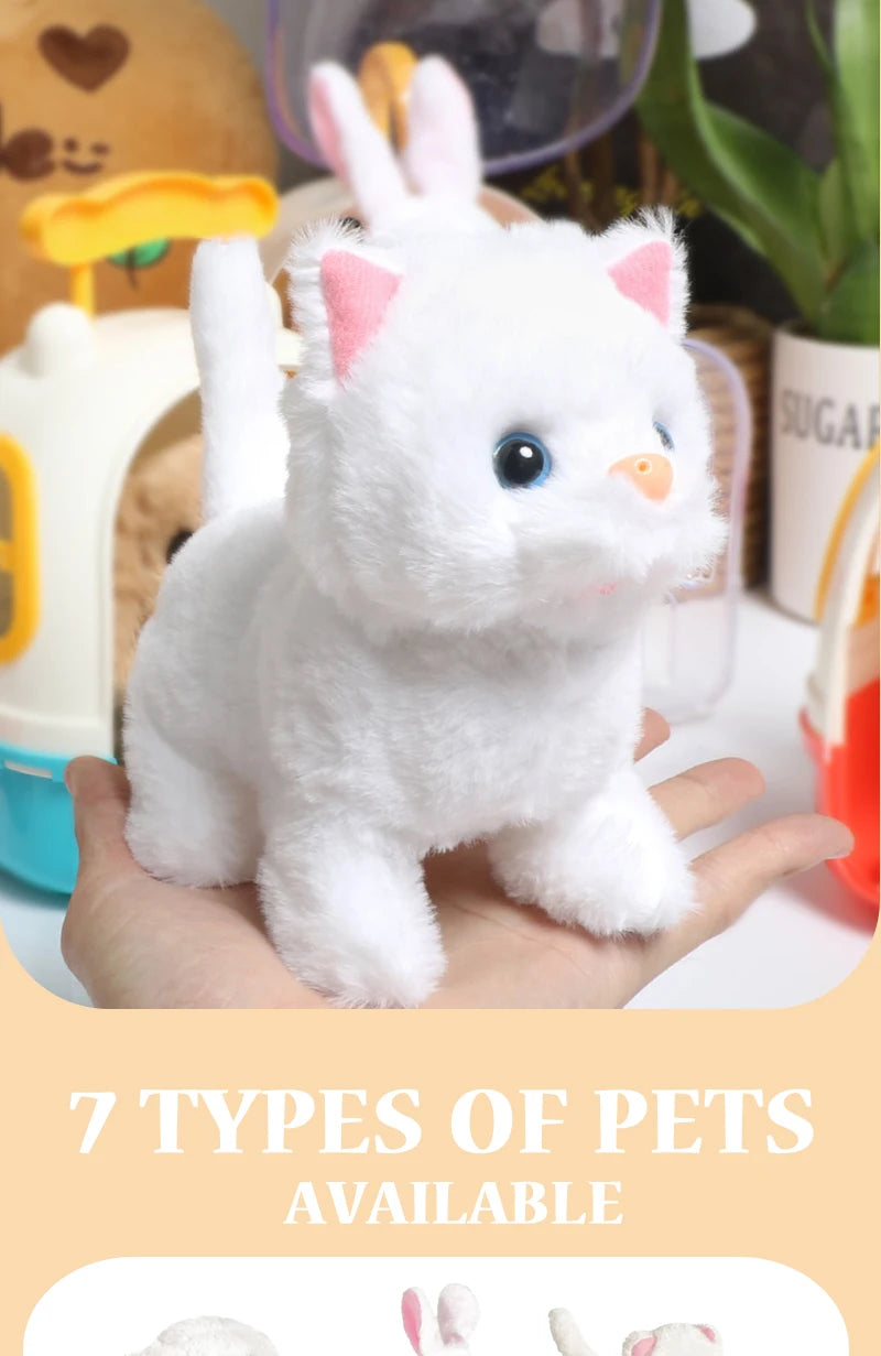 兒童過家家模擬毛絨動物電動行走可愛毛絨狗貓背包套裝女孩益智玩具