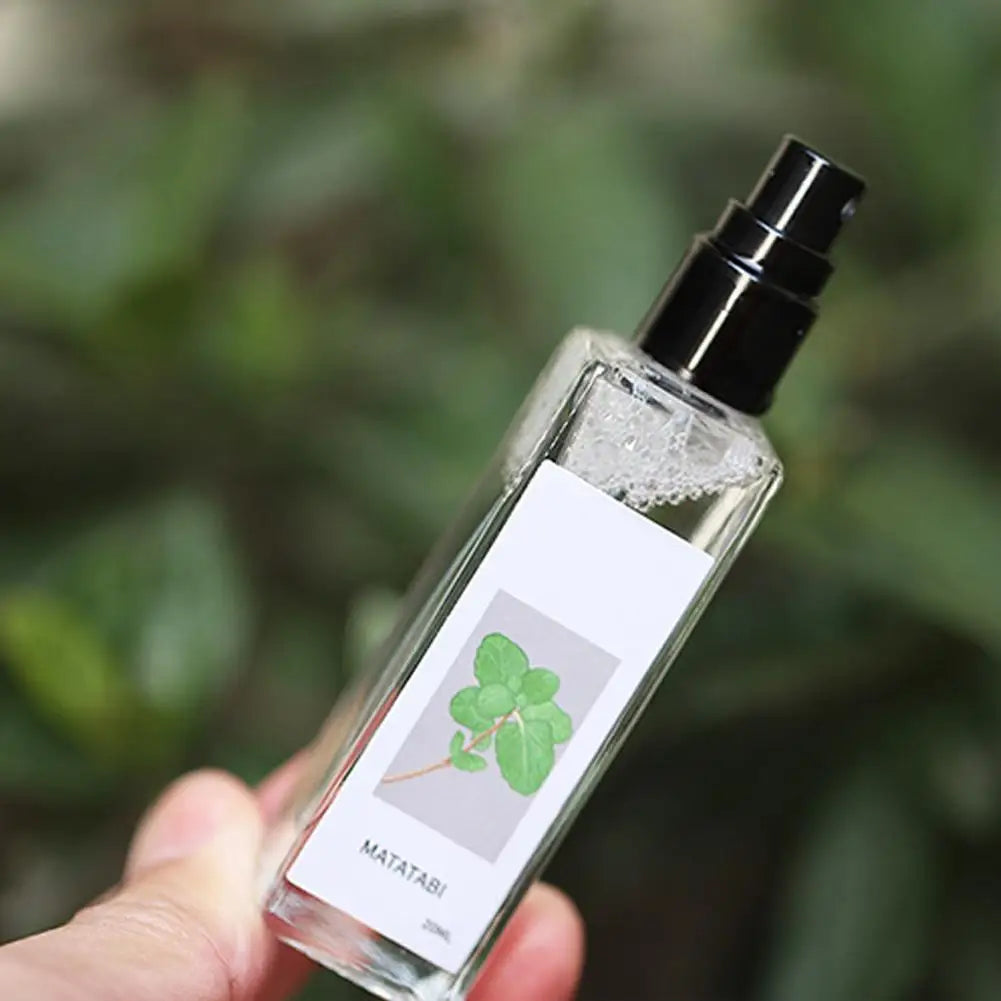 1/3 件 草本貓咪快樂噴霧,芹菜寵物貓薄荷噴霧 快樂草本噴霧,草本貓咪快樂馬塔比