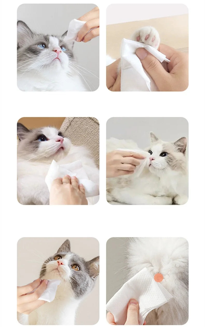 80Pcs Pet Wipes for Teeth, Eyes, Ears, Paws & Hygiene