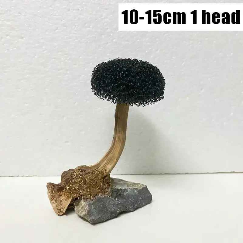 水槽用植物 苔 木 装飾 造園用 木製植物 根 流木 水生植物 草 水槽アクセサリー (苔なし)