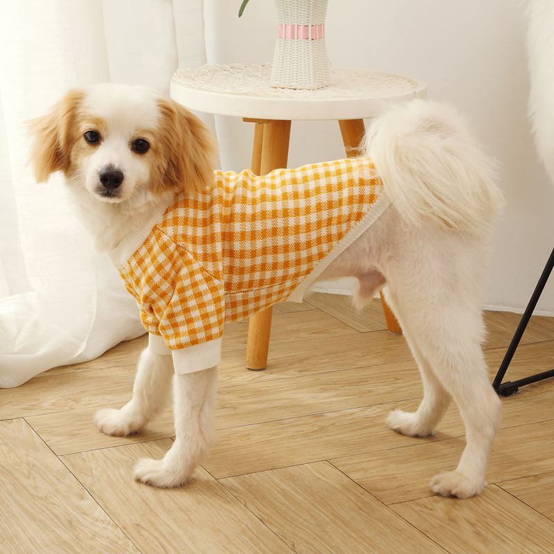 High Collar Windproof Fashion Sweater Dog Clothes