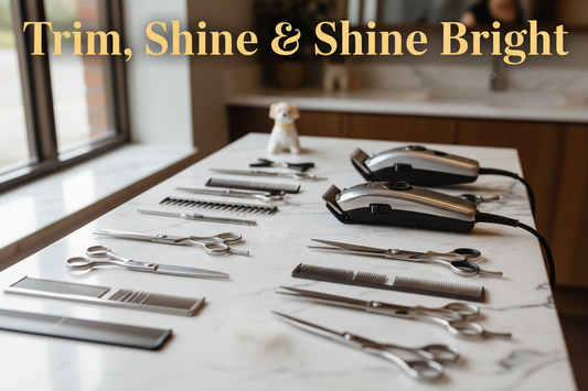 Best Dog Grooming Tools for Home: Complete Checklist