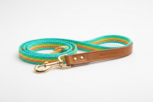 How to Choose the Best Dog Leash for Everyday Walks