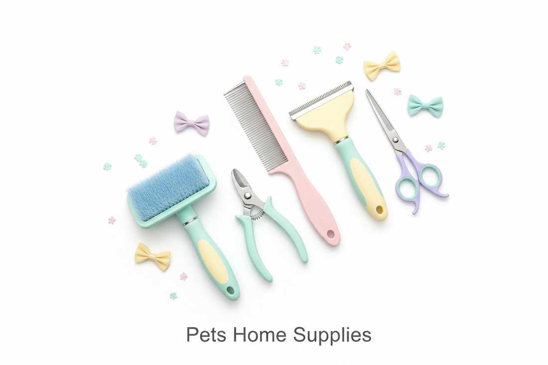 How to Groom Your Dog at Home: Beginner's Guide