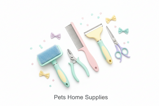 How to Groom Your Dog at Home: Beginner's Guide
