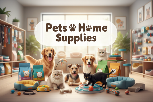2026 Pet Care Trends: How to Choose Better Supplies for Your Pet