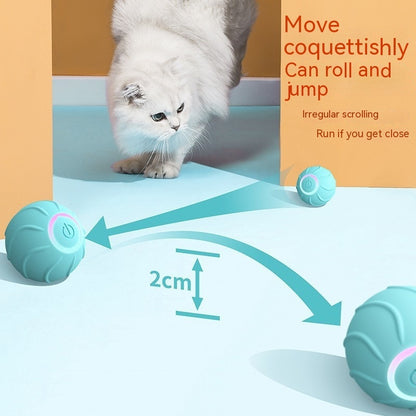 Smart Cat Toys Rolling Ball Pet Cat Owner