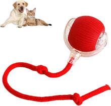 Automatic 360° Rotating Cat Rolling Ball - 2025 Upgrades