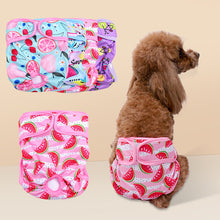 Reusable Dog Diaper Pants – Cute & Absorbent for Female Pets