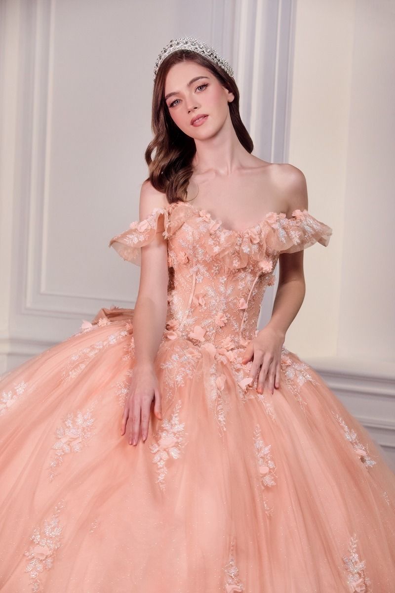 Off The Shoulder Delicate Floral Applique Embellished Ceremonial Ball Gown w/ Corset Bodice CD15731