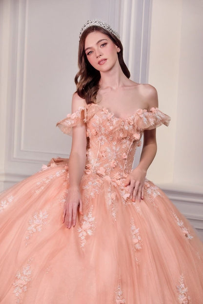 Off The Shoulder Delicate Floral Applique Embellished Ceremonial Ball Gown w/ Corset Bodice CD15731