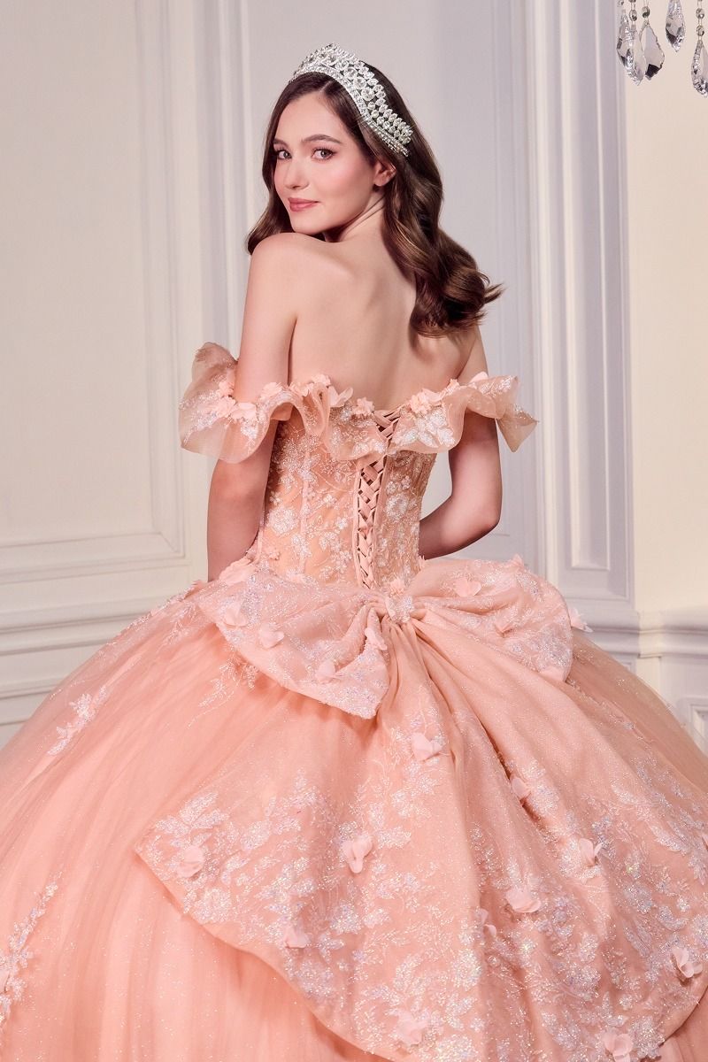 Off The Shoulder Delicate Floral Applique Embellished Ceremonial Ball Gown w/ Corset Bodice CD15731