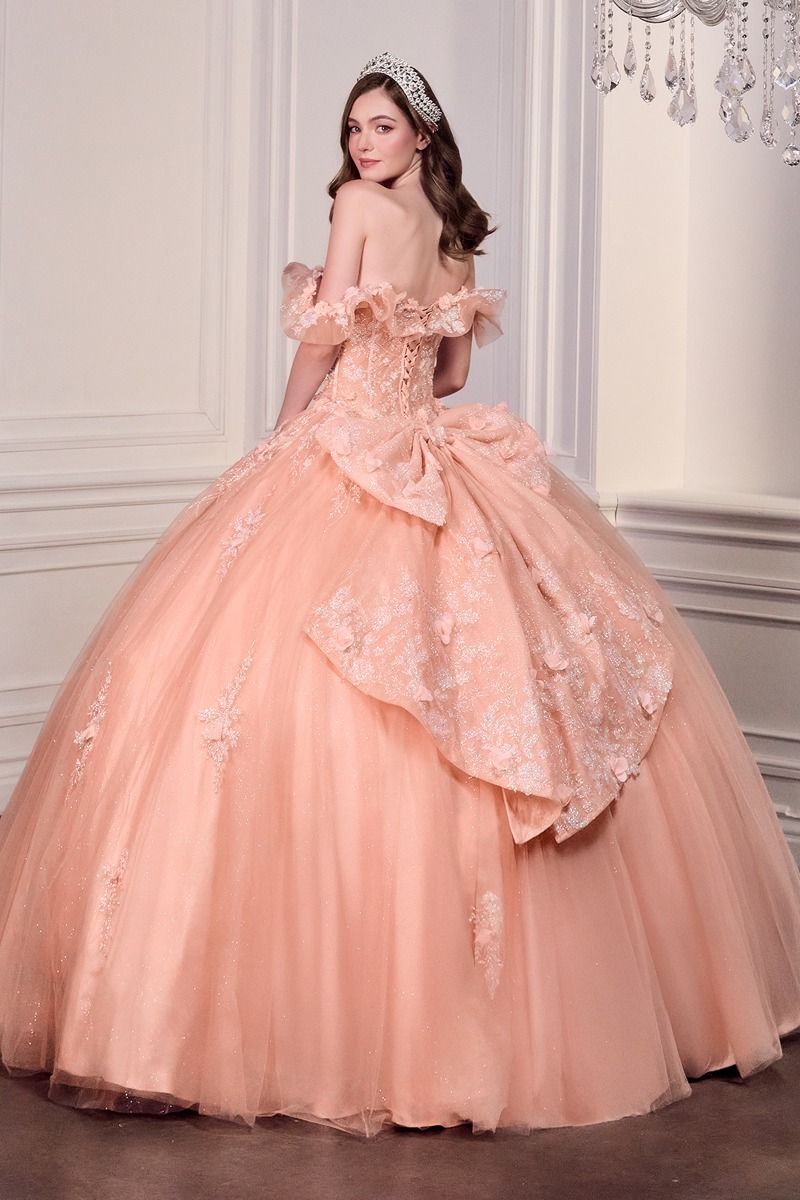 Off The Shoulder Delicate Floral Applique Embellished Ceremonial Ball Gown w/ Corset Bodice CD15731