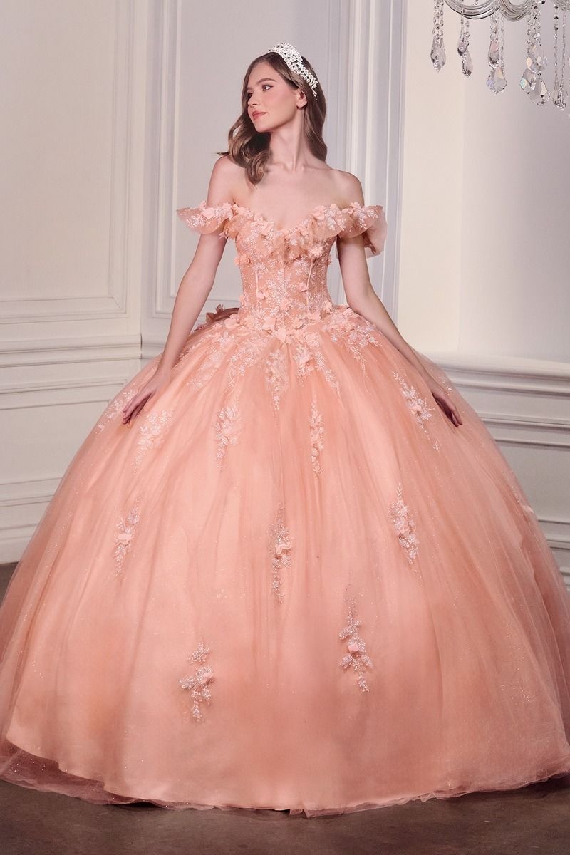 Off The Shoulder Delicate Floral Applique Embellished Ceremonial Ball Gown w/ Corset Bodice CD15731