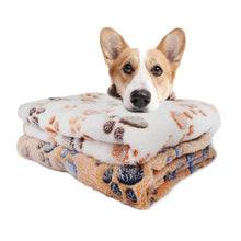 Coral Fleece Cat Warm Autumn And Winter Cushion