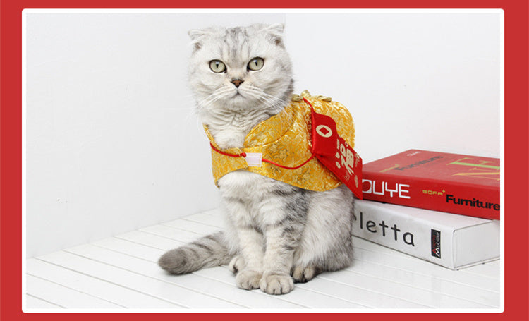 Cloak Wind Cloak Chinese Clothes New Year Kitten Red Envelope Small Warm Pet