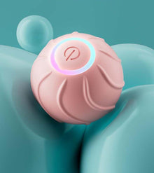 智慧貓玩具滾球寵物貓主人