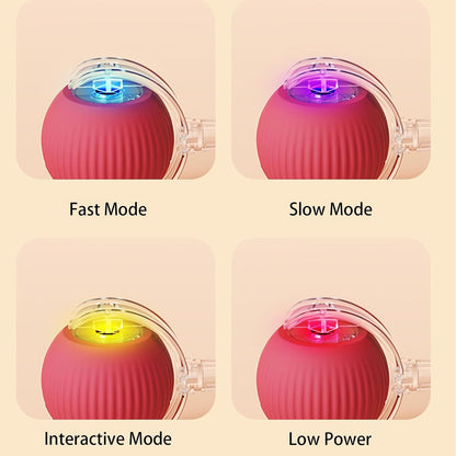 Automatic 360° Rotating Cat Rolling Ball - 2025 Upgrades