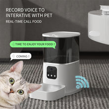smart pet feeder, automatic cat feeder, automatic dog feeder, WiFi pet food dispenser, 6L pet feeder with app, voice recording pet feeder, smart feeder with video camera, slow feeder for pets, programmable pet feeder