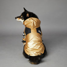 狗狗大型犬雨衣寵物夾克