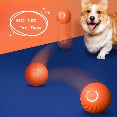 Pet Dog Interactive Rolling Ball