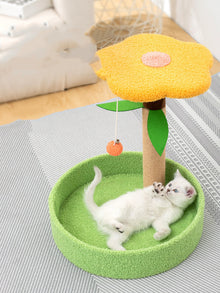 磨爪子和逗貓玩具