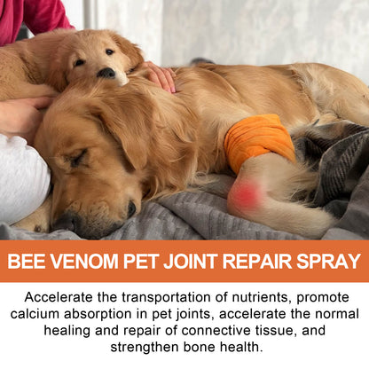 Pet Joint Repair Spray Care Relieve Pet Joint Discomfort Muscle Weakness