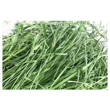 提摩西乾草整箱裝零食飼料龍貓豚鼠糧兔寵物用品