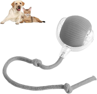 Automatic 360° Rotating Cat Rolling Ball - 2025 Upgrades