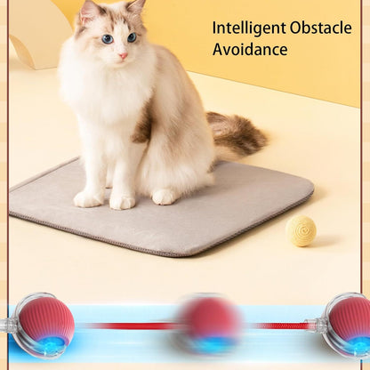 Automatic 360° Rotating Cat Rolling Ball - 2025 Upgrades
