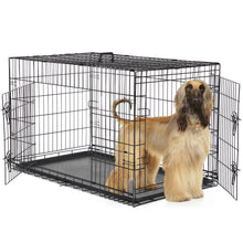 A Dog Cage With Two Doors