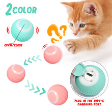 dog Gravity Intelligent Rolling Ball Tease Toy Pet Automatic Rotating Ball