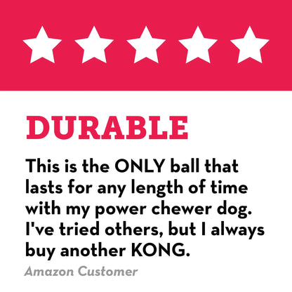 KONG Extreme Ball with Hole - Fetch Toy - Durable Dog Toy  - Natural Extreme Rubber Ball - Black - for Large/Medium Dogs