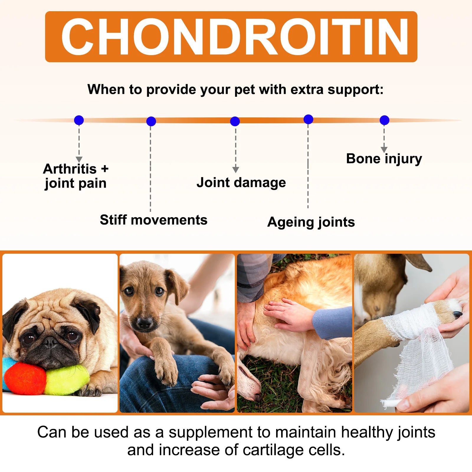 Hip and Joint Supplement with Glucosamine for Dogs 170 Dog Joint Pain Relief Treats Chondroitin MSM Dog Joint Supplement Health