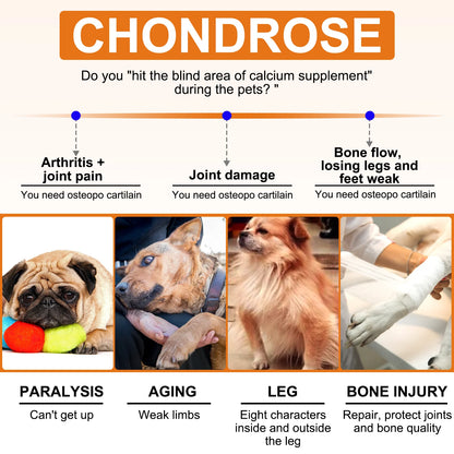 Hip and Joint Supplement for Dogs Glucosamine Joint Pain Relief Treats Chondroitin MSM Supplement Health Mobility Support Chews