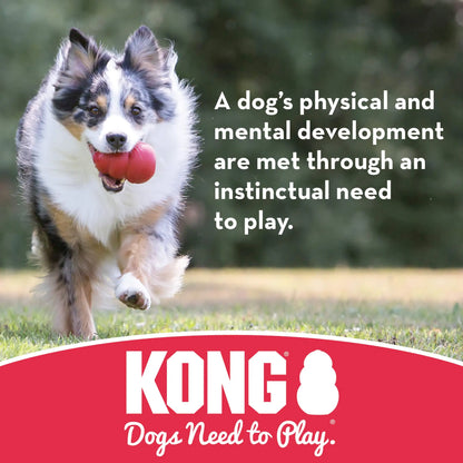 KONG Extreme Ball with Hole - Fetch Toy - Durable Dog Toy  - Natural Extreme Rubber Ball - Black - for Large/Medium Dogs