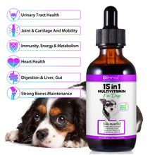 15-in-1 Vitamin Drops for Dogs Nutrients Comprehensive Nutrient Support Skin Coat Joint Bone Heart Immune System Boost Energy