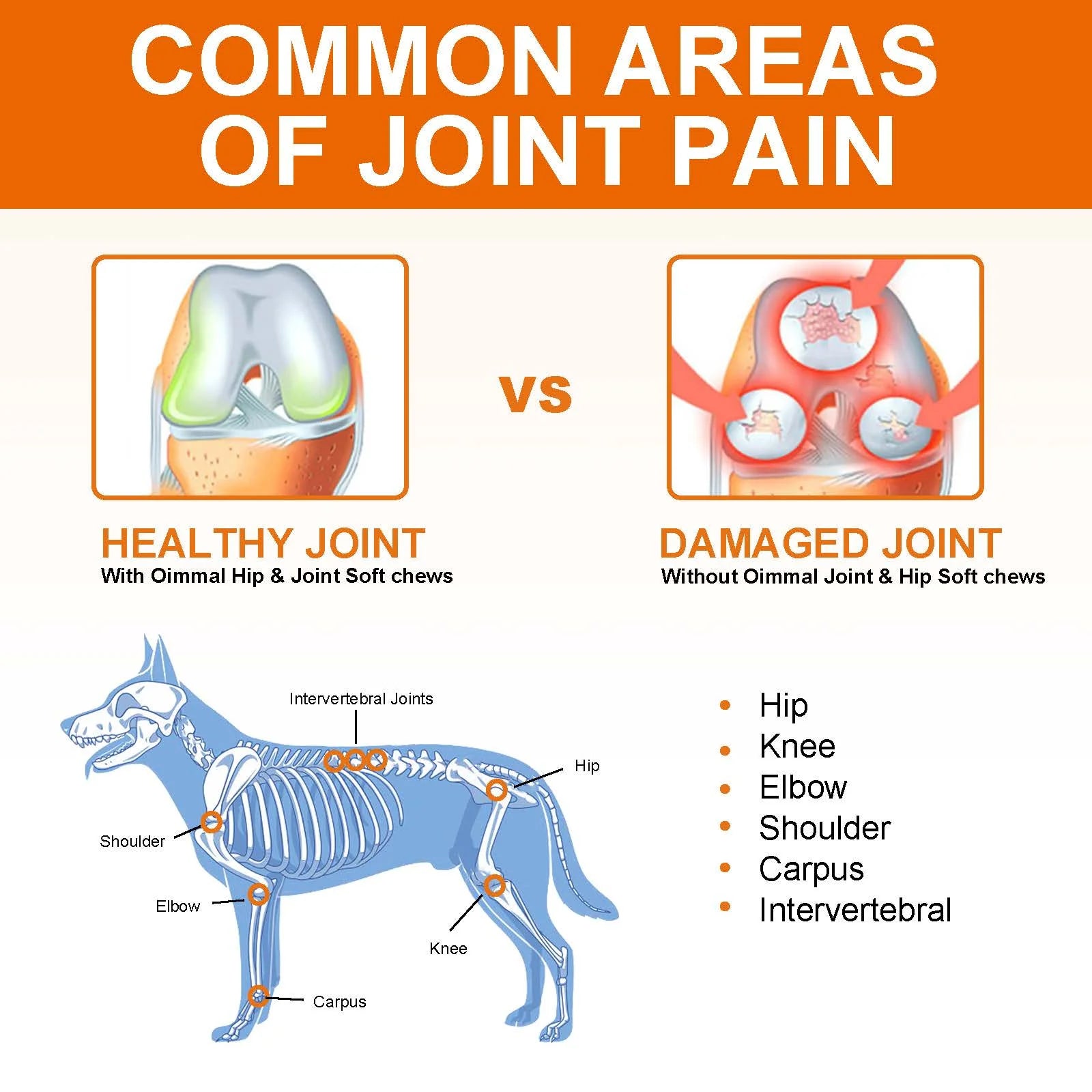 Hip and Joint Supplement for Dogs Glucosamine Joint Pain Relief Treats Chondroitin MSM Supplement Health Mobility Support Chews