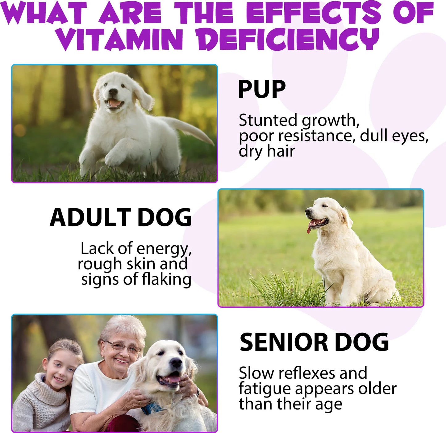 15-in-1 Vitamin Drops for Dogs Nutrients Comprehensive Nutrient Support Skin Coat Joint Bone Heart Immune System Boost Energy
