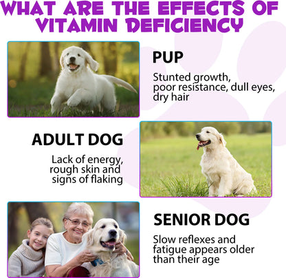 15-in-1 Vitamin Drops for Dogs Nutrients Comprehensive Nutrient Support Skin Coat Joint Bone Heart Immune System Boost Energy