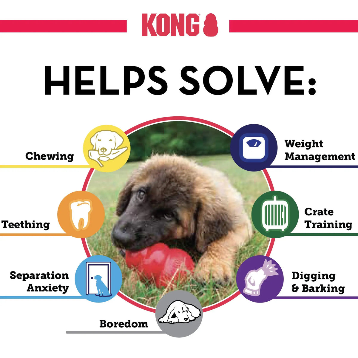 KONG Puppy - Natural Teething Rubber Chew Toy for Dogs  - Chew & Fetch Toy for Puppies - for Small Puppies - Blue