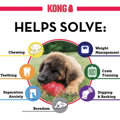 KONG Puppy - Natural Teething Rubber Chew Toy for Dogs  - Chew & Fetch Toy for Puppies - for Small Puppies - Blue